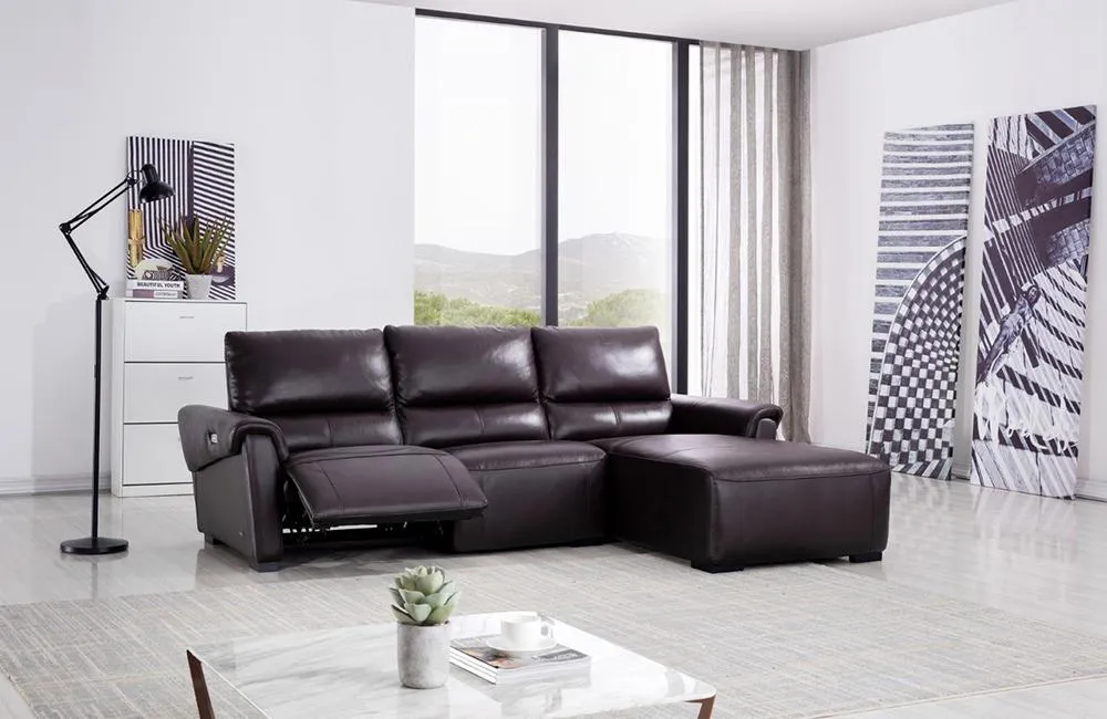 Aldous Brown Leather Sectional Sofa