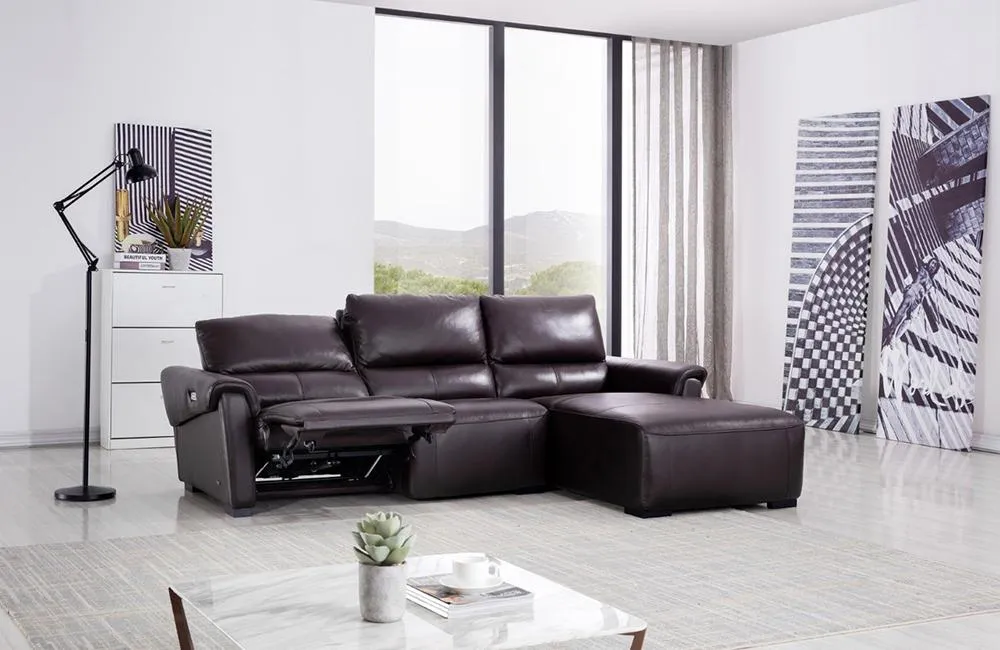 Aldous Brown Leather Sectional Sofa