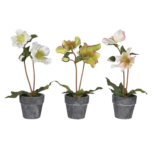 Faux Mini Hellebore in Pots | Set of 3