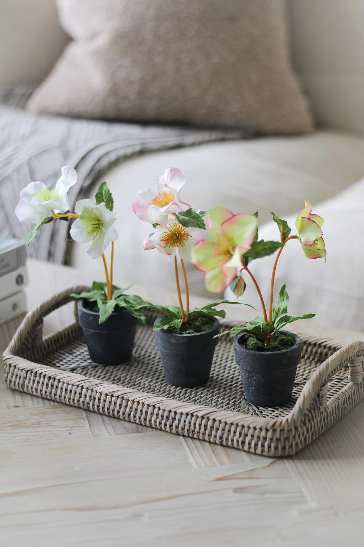 Faux Mini Hellebore in Pots | Set of 3