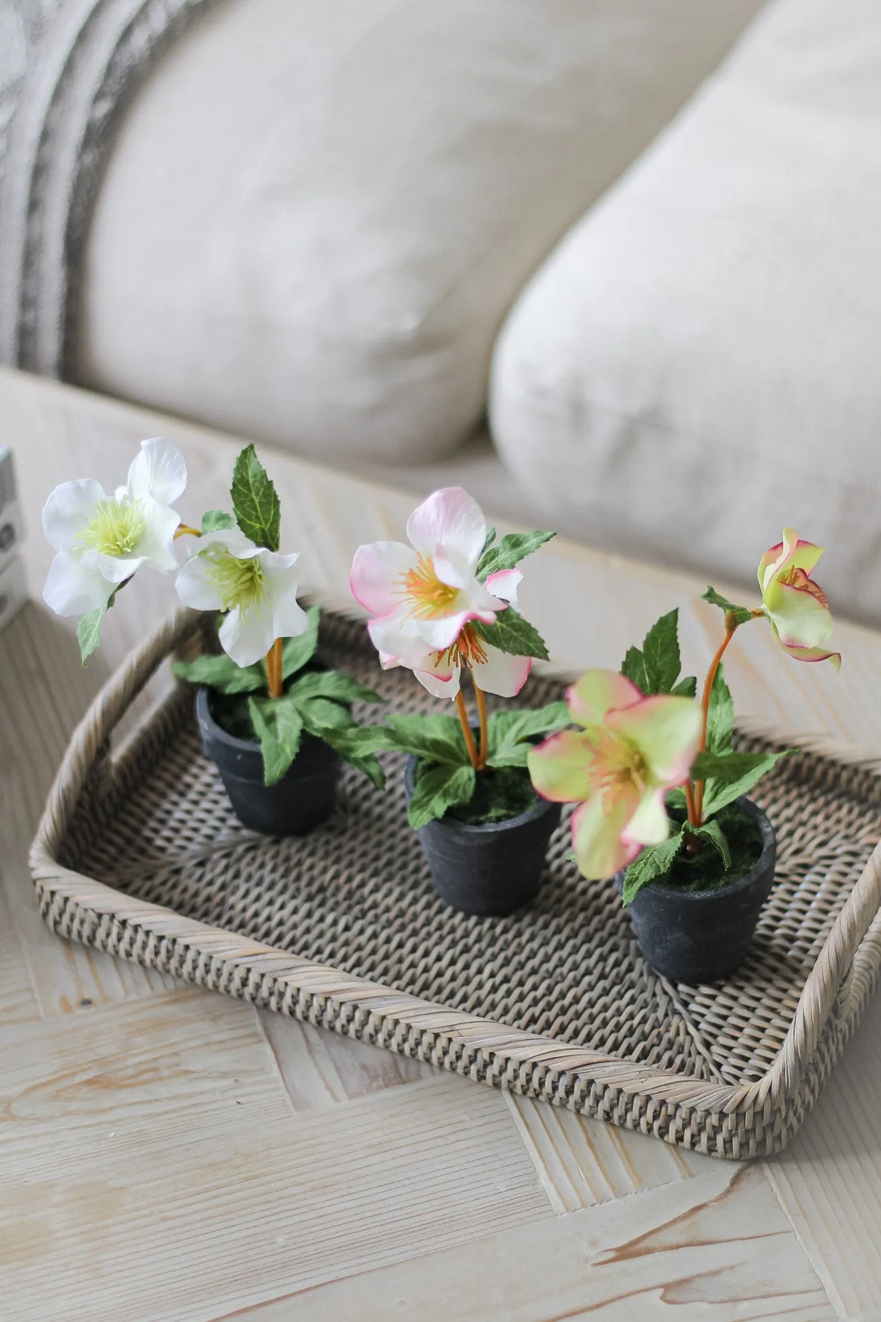 Faux Mini Hellebore in Pots | Set of 3