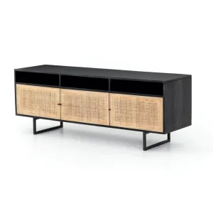 Janus Rattan Media Unit