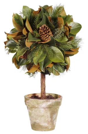 Magnolia Leaf Topiary 26"