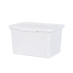 MINISO Simple Storage Box (Small)