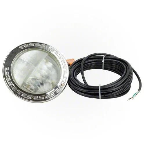 Pentair IntelliBrite White LED Pool Light 601102 - 100 Foot Cord